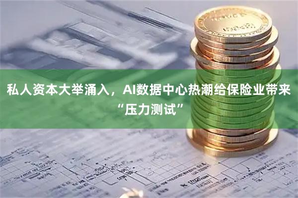私人资本大举涌入,AI数据中心热潮给保险业带来“压力测试”