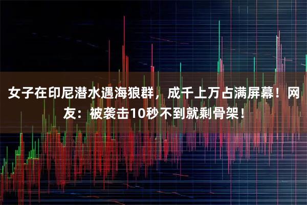 女子在印尼潜水遇海狼群，成千上万占满屏幕！网友：被袭击10秒不到就剩骨架！