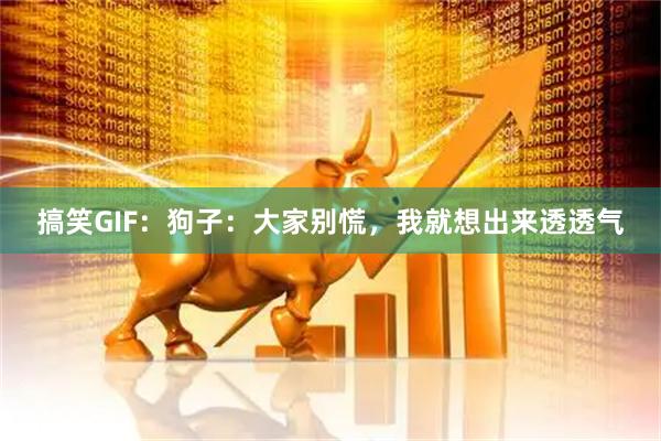 搞笑GIF:狗子:大家别慌,我就想出来透透气