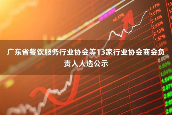 广东省餐饮服务行业协会等13家行业协会商会负责人人选公示